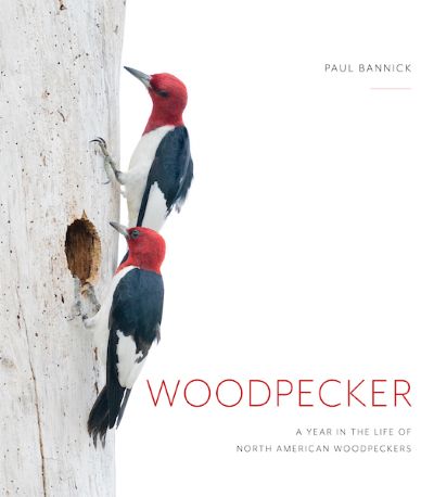 Woodpecker: a Year in the LIfe of North American Woodpeckers